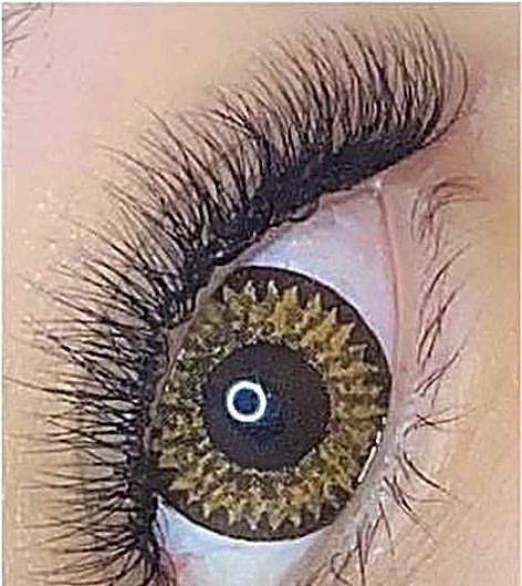 Natural volume lashes close-up – Ellie Beauty, Singapore